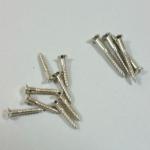 Montreux True Historic M69 screw Set (12) Nickel 