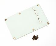 Aged 54 SC BackPlate Relic ® - to fit Strat ® 